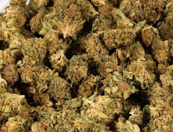 Afghan Kush (AA) - Image 6