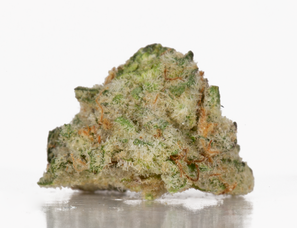 BC Legacy – Mac 1 - Image 3