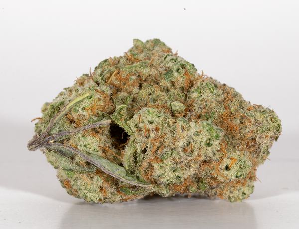 BC Legacy – Mac 1 - Image 4