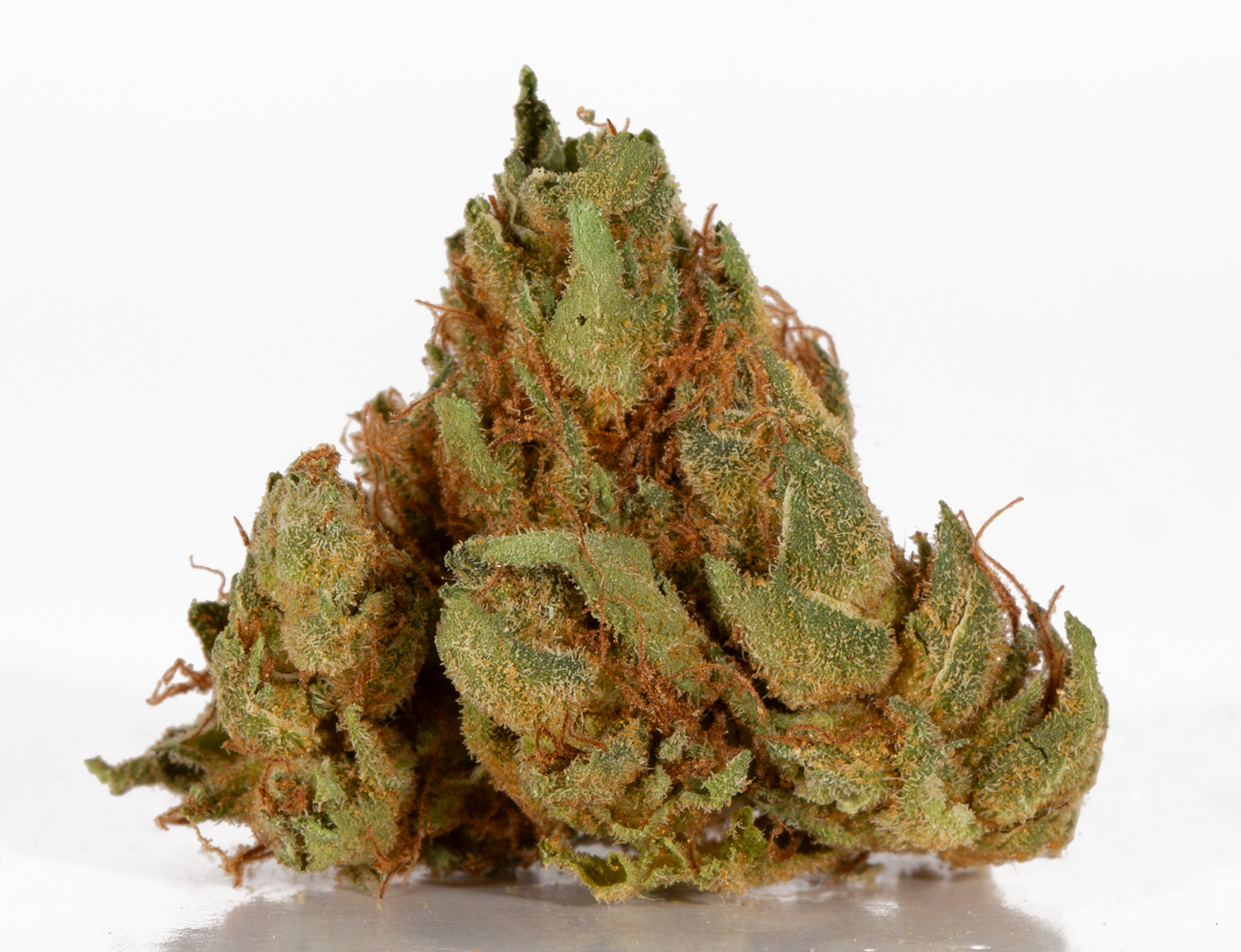 Astral Herbs - Orange Cream - Image 3