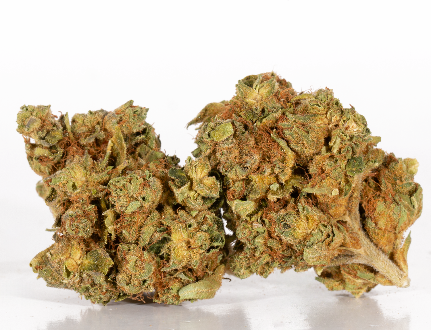 Astral Herbs - Orange Cream