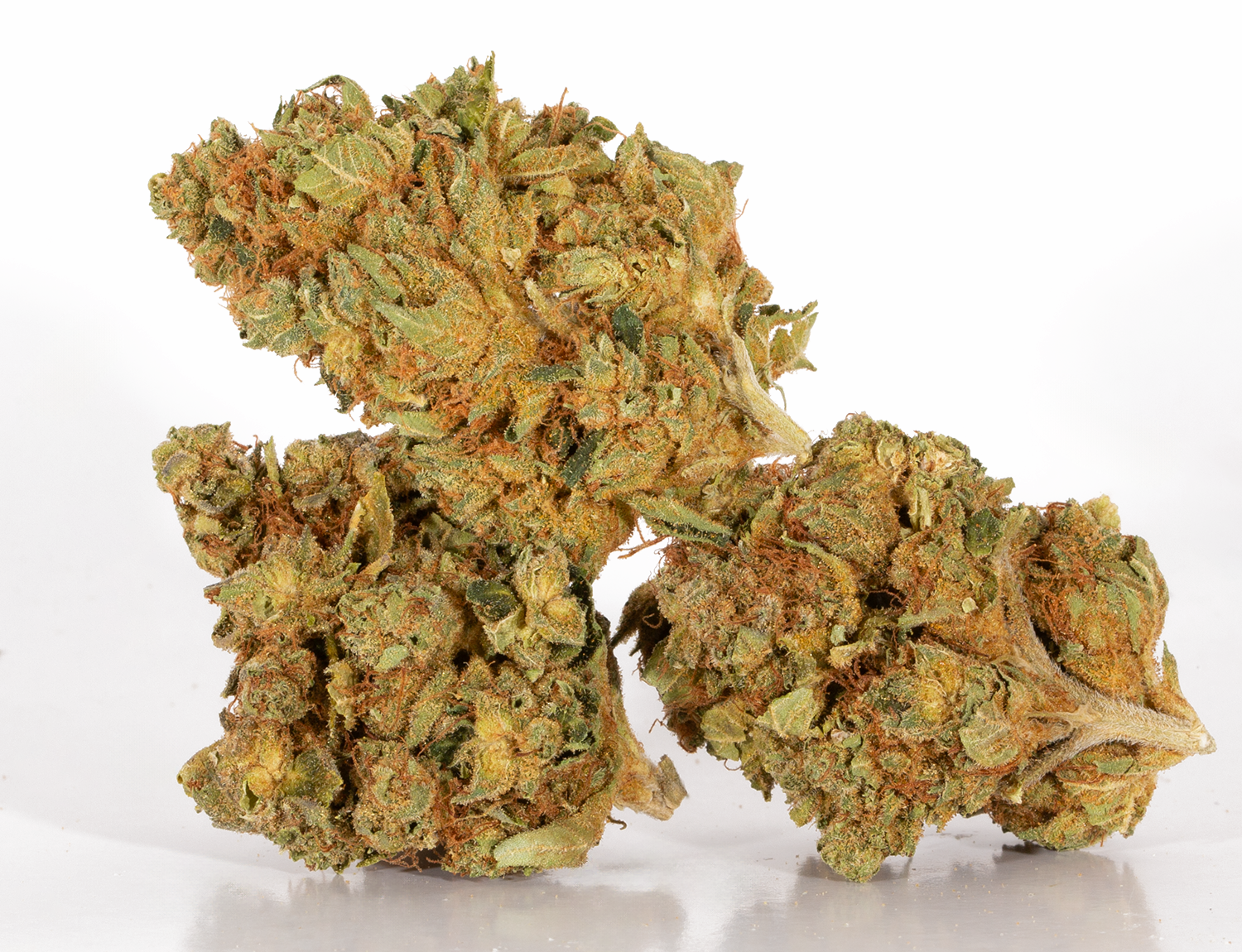 Astral Herbs - Orange Cream - Image 2