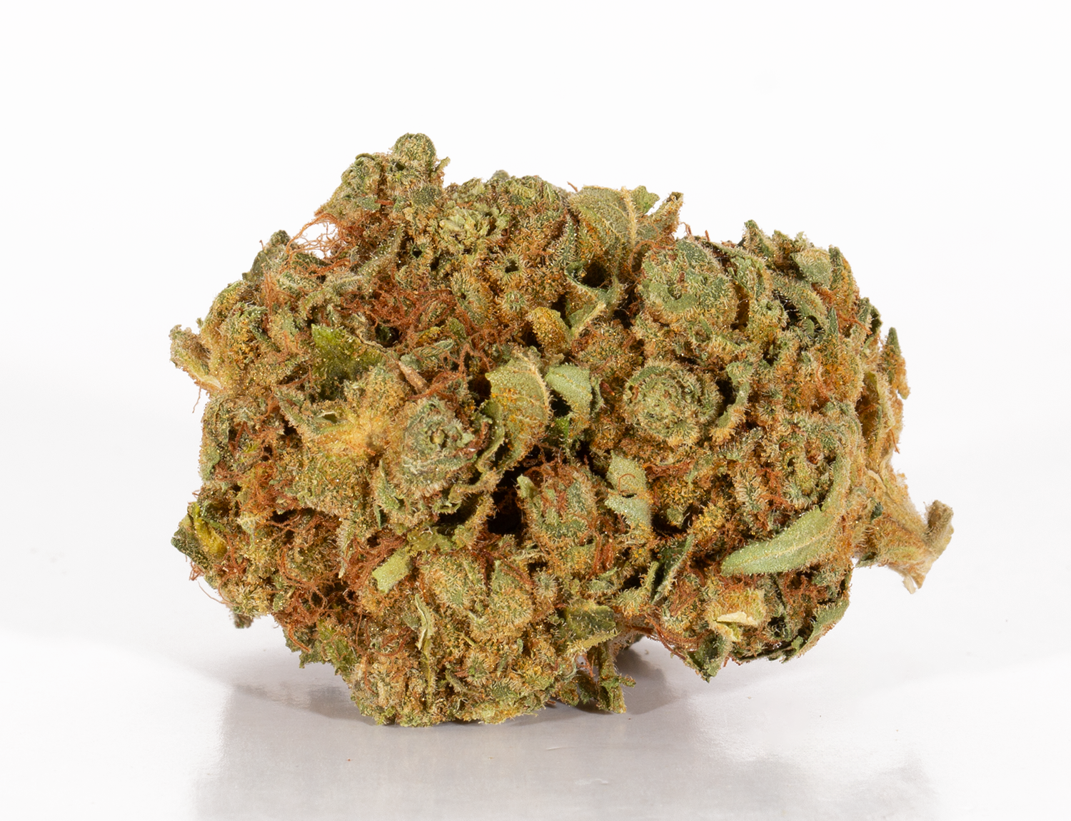 Astral Herbs - Orange Cream - Image 4