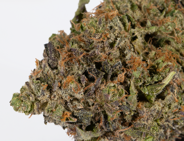 Tuna Kush (AAAA) - Image 4