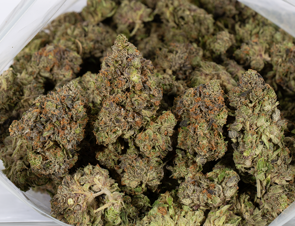 Tuna Kush (AAAA) - Image 5