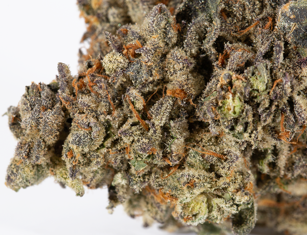 White Thunder (AAA+) - Image 4