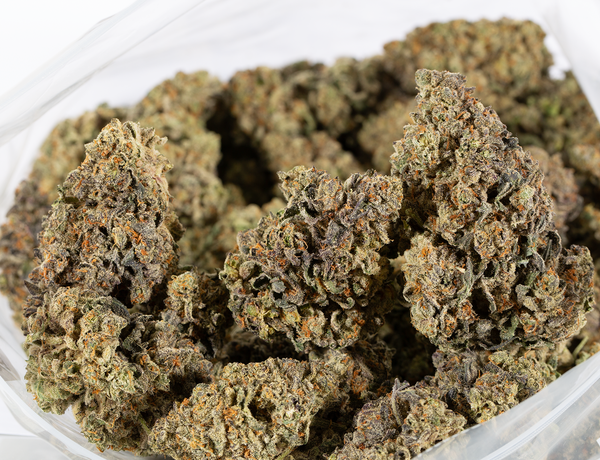 White Thunder (AAA+) - Image 5