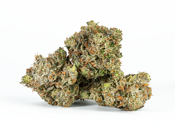 BC Legacy - Ghost Ship - Image 4