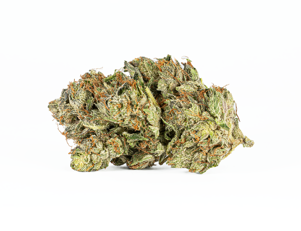 BC Legacy - Ghost Ship - Image 2
