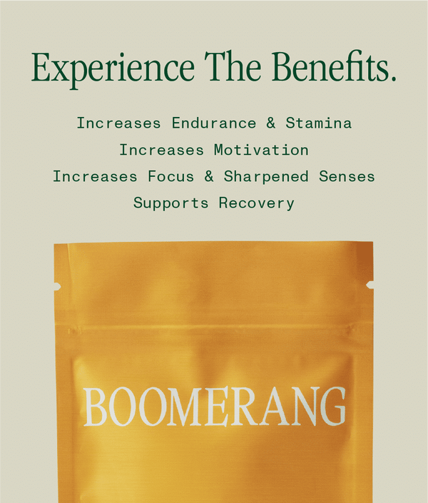 SERO - Boomerang - Image 3