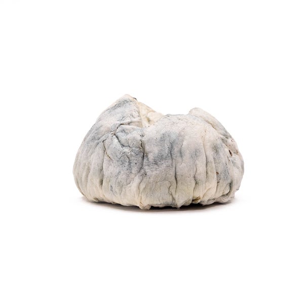 Amazeballs - Albino Alien Bubbles