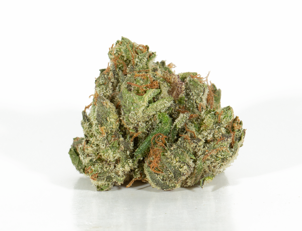Alpine Royal - Battle Star - Image 3