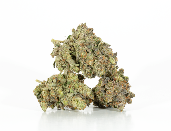 Alpine Royal - Battle Star - Image 2
