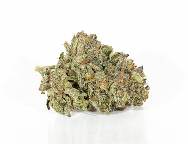 Alpine Royal - Battle Star - Image 4