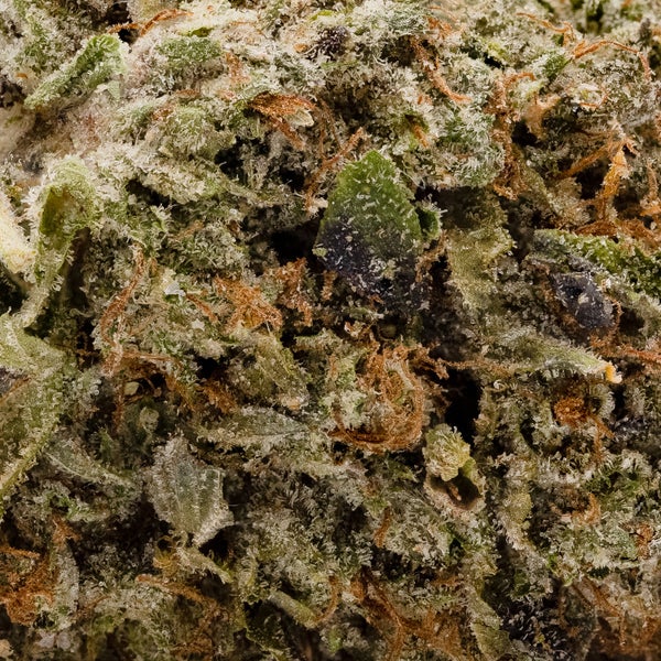 Lucky Farms - Grapefruit - Image 6