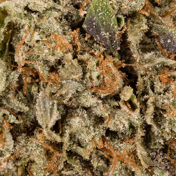 Lucky Farms - Grapefruit - Image 5
