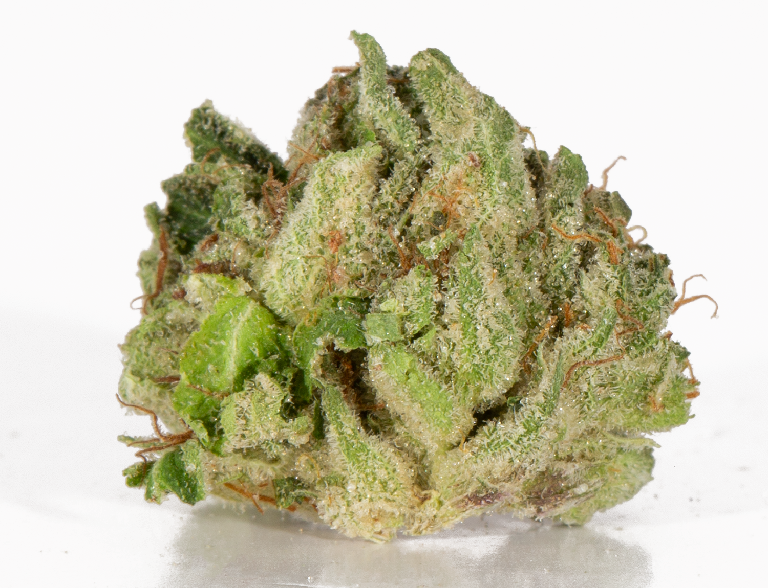 Hardcore OG (AAAAA) - Image 3