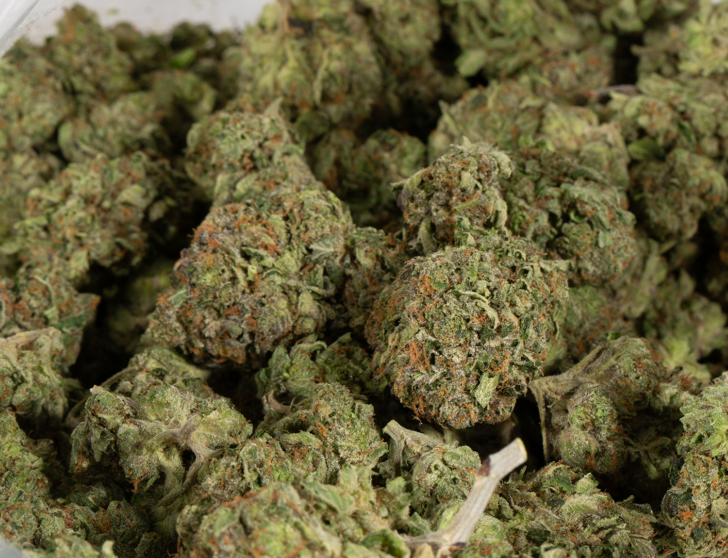 Hardcore OG (AAAAA) - Image 5