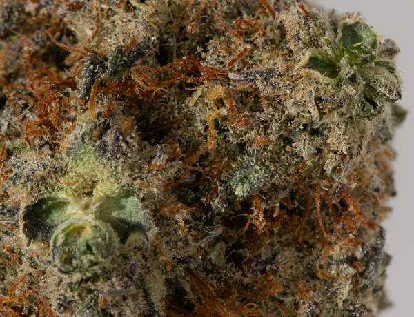 Ice Cream Cake (AAAA+) - Image 5