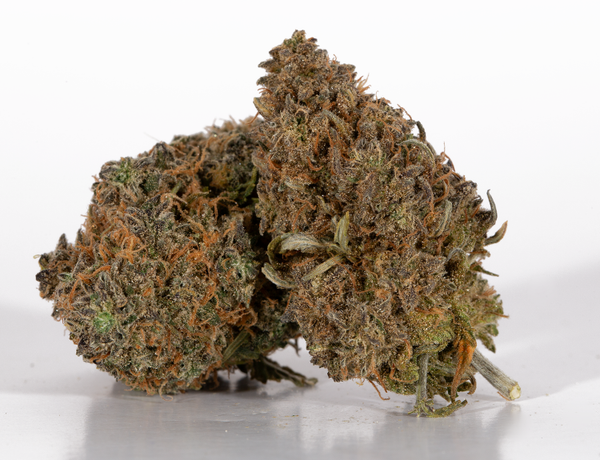 Mimosa (AAA)