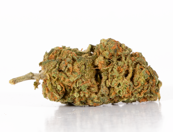 Obama Kush (AA) - Image 4