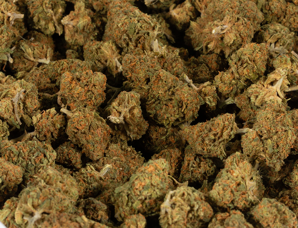 Obama Kush (AA) - Image 6