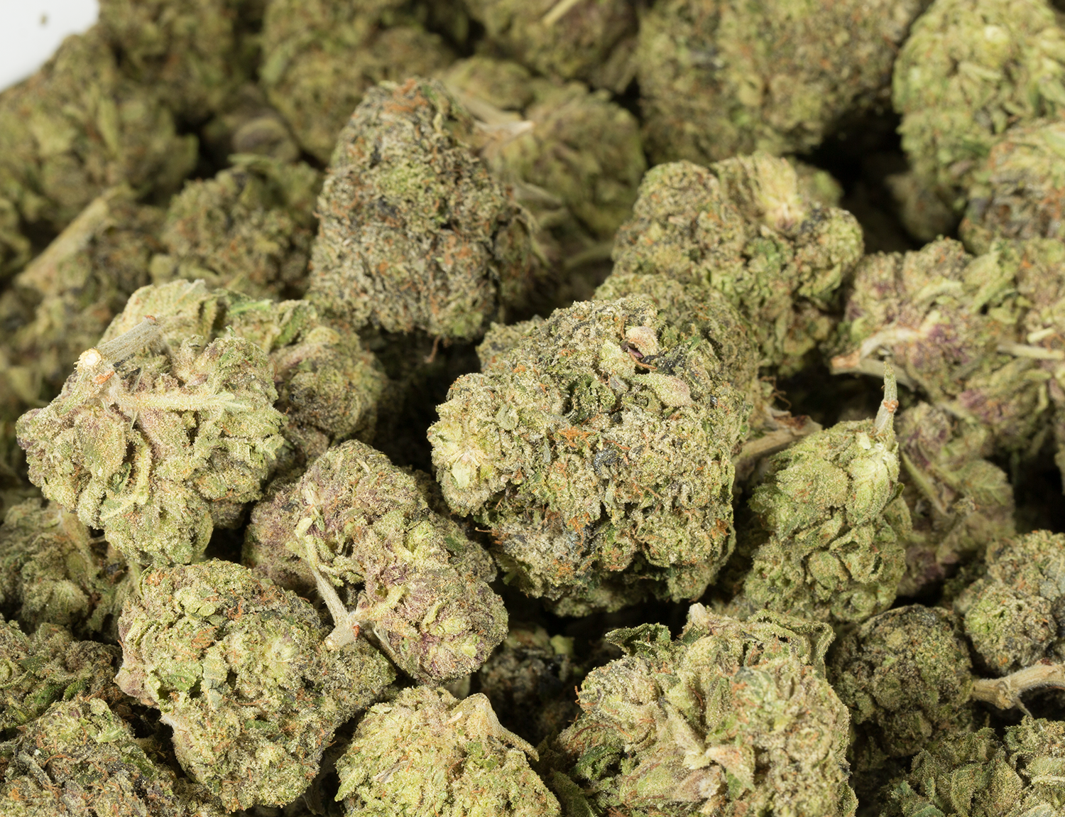 Pink Rockstar (AAA) - Image 6