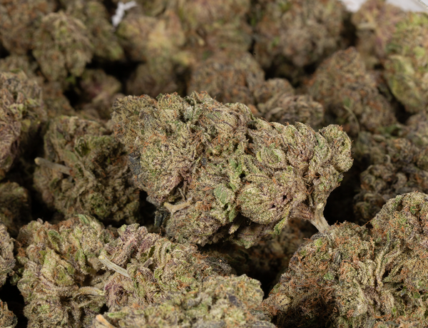 Purple Monkey Balls (AAAAA) - Image 6