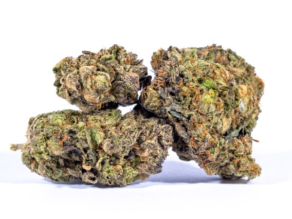 Purple Urkle (AAA)