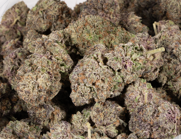 Rainbow Jones (AAAAA) - Image 6