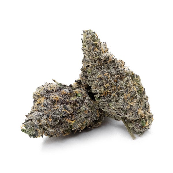 Rainbow Chip (Jungle Ridge) - Image 5