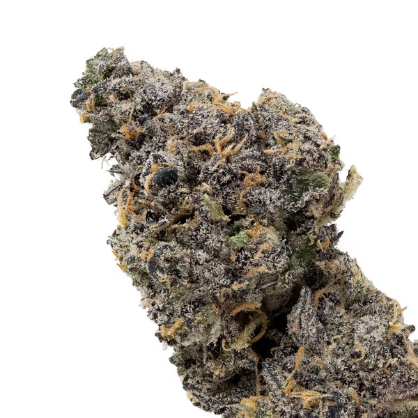 Rainbow Chip (Jungle Ridge) - Image 4