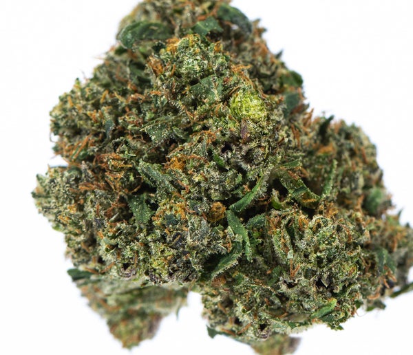 Super Glue (AAAA) - Image 2