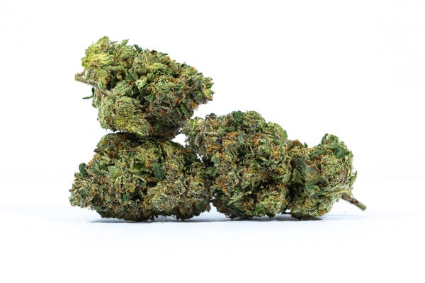 Super Glue (AAAA) - Image 3