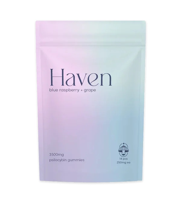 Haven - Mushroom Gummies - Image 2