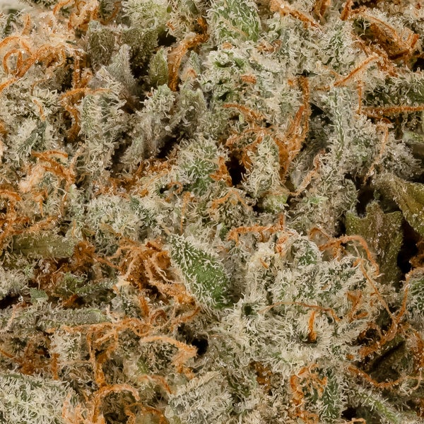 Superdank - Blue Dream - Image 5