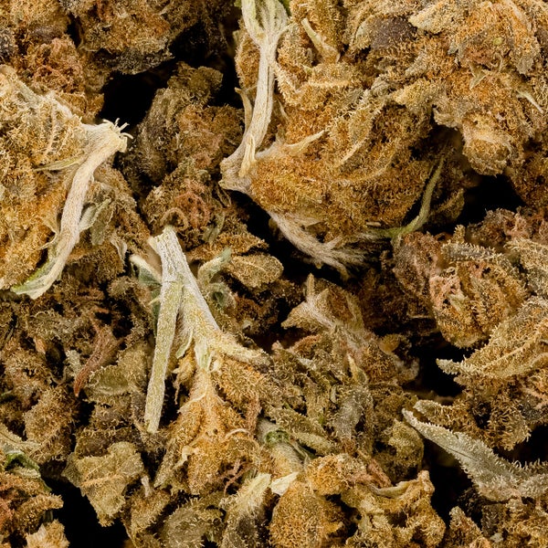 People's Choice - Cheese Quake - Image 2