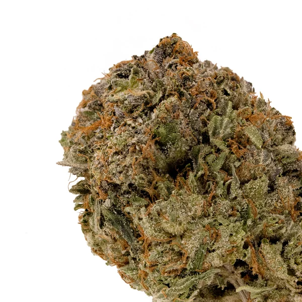 Cream Of The Crop - El Chapo - Image 4