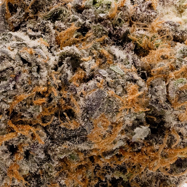 Cream Of The Crop - Flapjacks - Image 6