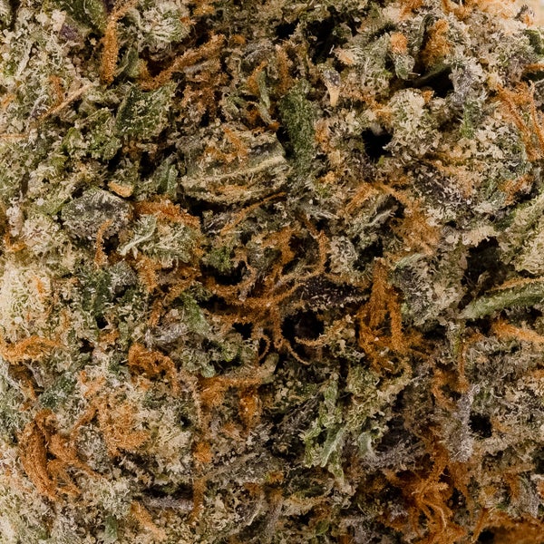 Cream Of The Crop - Gelato Push Pop - Image 5