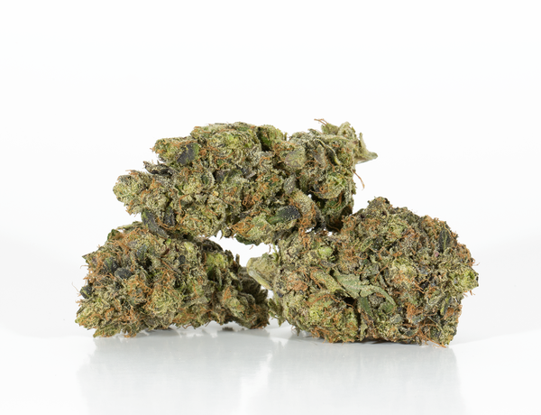 BC Legacy - Ghost Bubba - Image 2