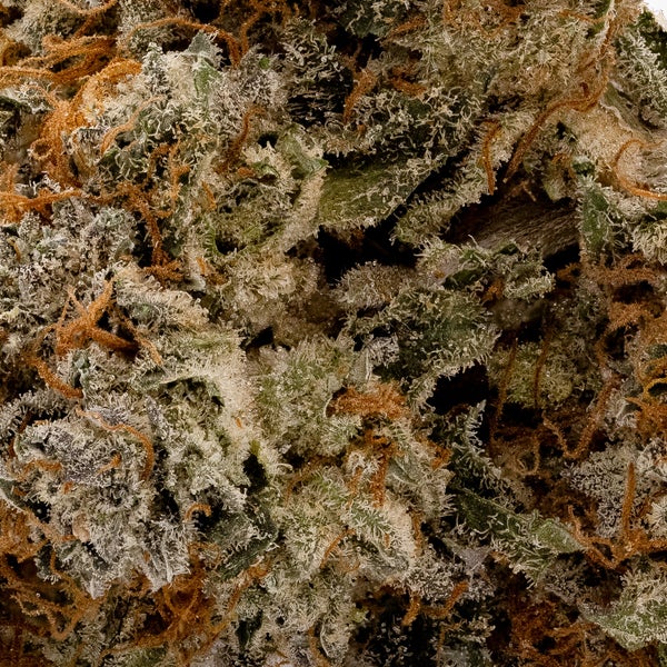 Superdank - OG Kush - Image 5