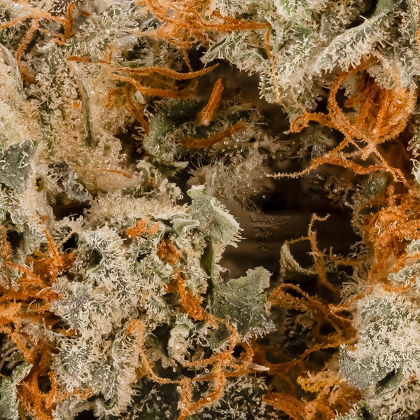 Superdank - OG Kush - Image 6