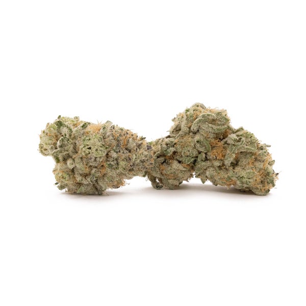 Cream Of The Crop - Platinum Gucci - Image 3
