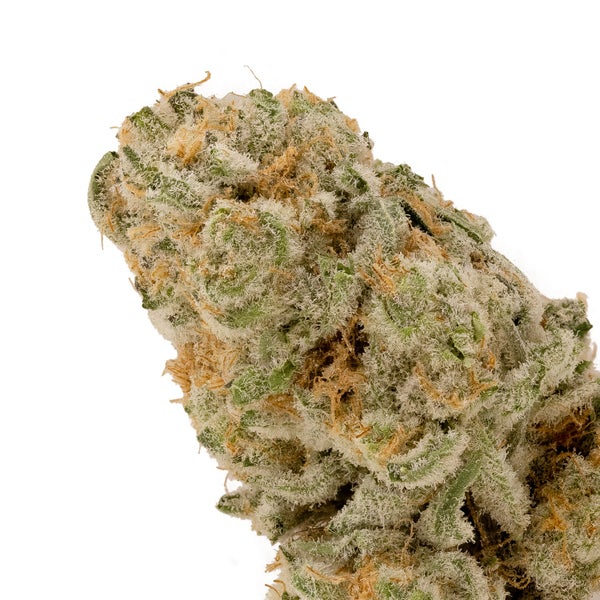 Cream Of The Crop - Platinum Gucci - Image 4