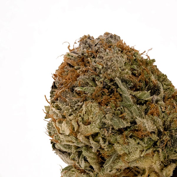 Cream Of The Crop - Pre-98 Death Bubba - Image 4