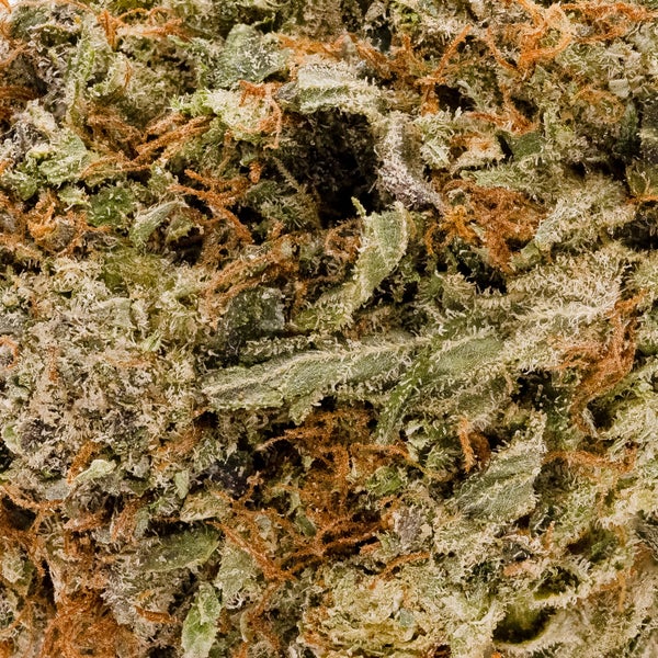 Cream Of The Crop - Pre-98 Death Bubba - Image 6