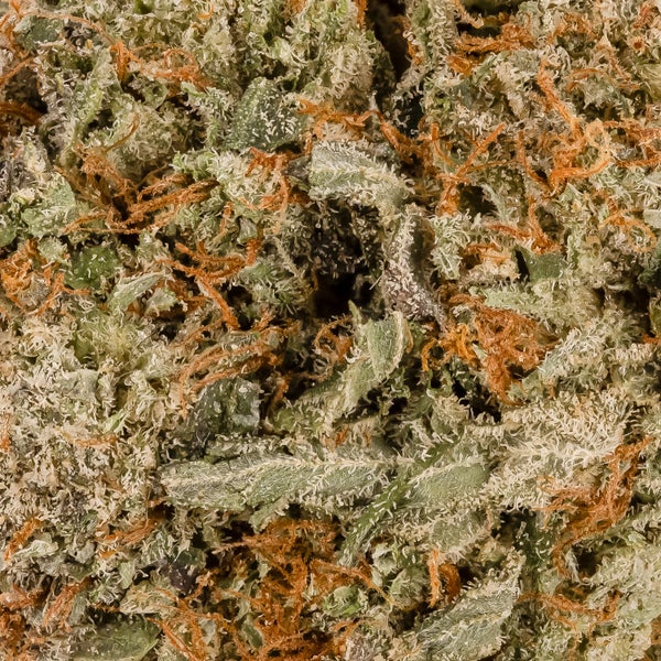 Cream Of The Crop - Pre-98 Death Bubba - Image 5
