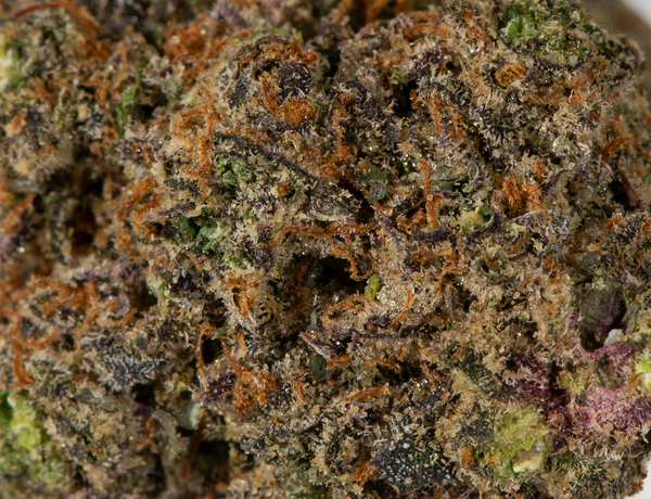 BC Legacy - Purple Runtz - Image 5