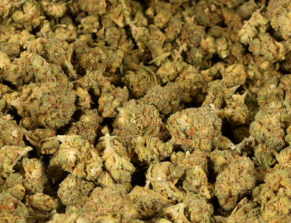 Astral Herbs - Sweet Dreams - Image 6